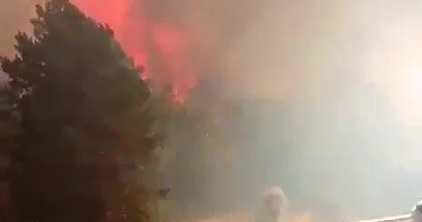 Лесной пожар в Андалусии: более 470 эвакуированных ВИДЕО