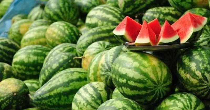 Qarpız niyə ucuzlaşmır?