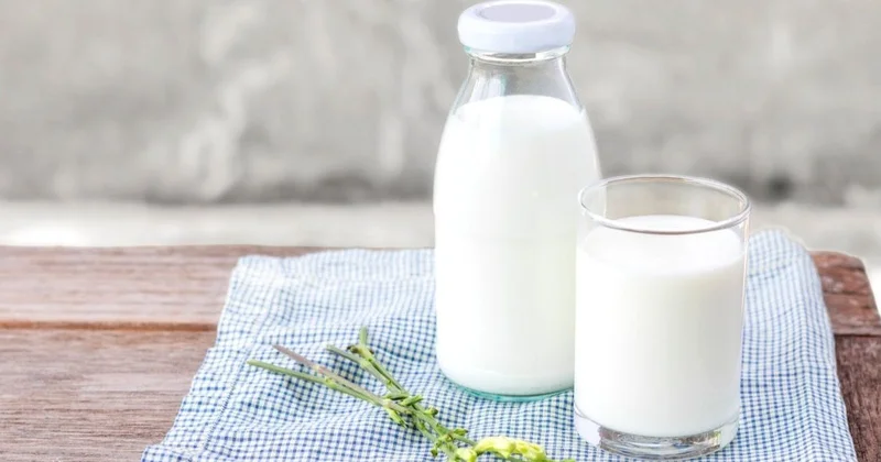 Ученые пересмотрели влияние жирных молочных продуктов на организм