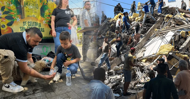 Dağıntıdan çıxan ən təmiz kadr... Fotolar
