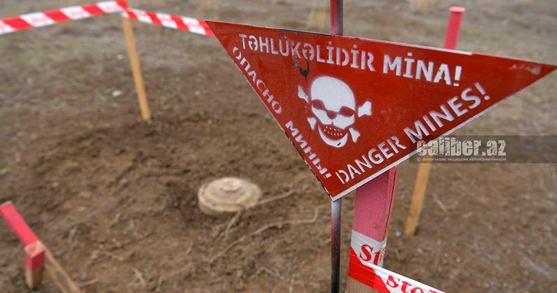 ANAMA: Обезврежены 87 противопехотных мин