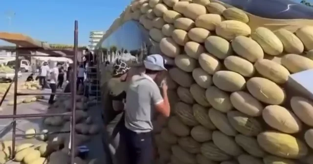 В Узбекистане собрали фигуру скоростного поезда из тысяч дынь ВИДЕО