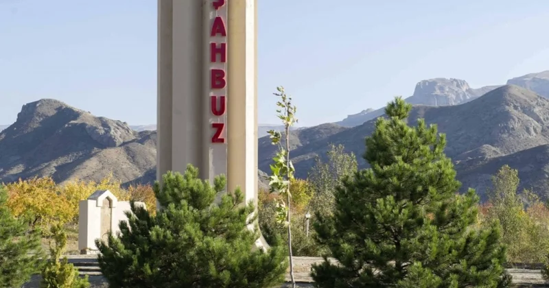 Şahbuzda avtomobil aşıb, sərnişin ölüb
