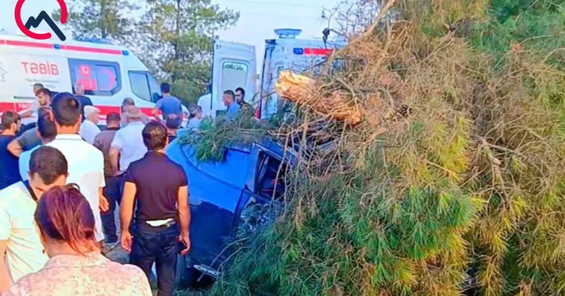 “Hyundai” ağaca çırpıldı, yaralılar var Foto