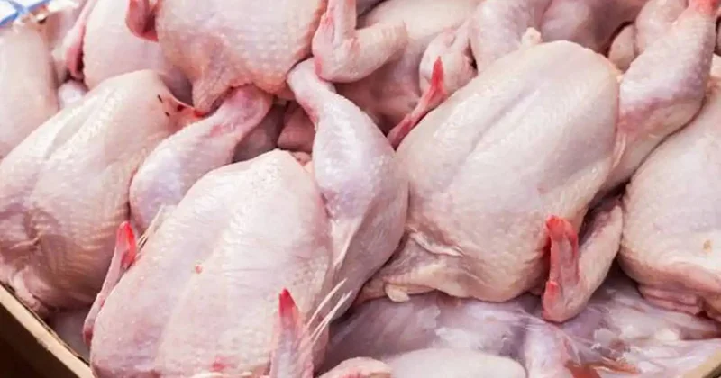 Azərbaycanda toyuq əti istehsalı kəskin artıb Necə olacaq?