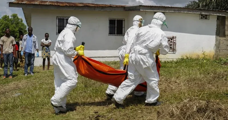Число погибших из за Эболы в ДР Конго приближается к 2 тыс. человек