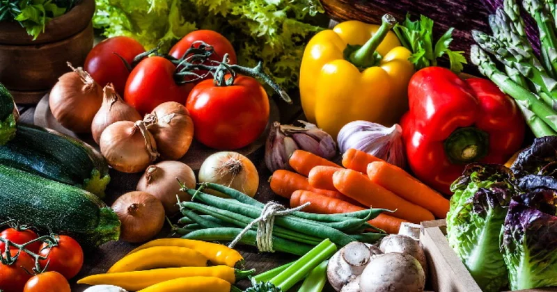 Производство сельскохозяйственной продукции выросло на 2,8 процента