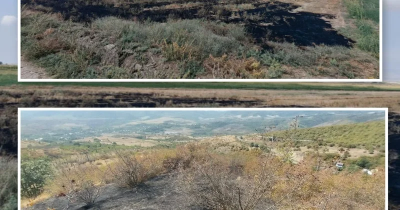 Füzuli və Xocavənddə yanğın törədən şəxslər məsuliyyətə cəlb olunublar