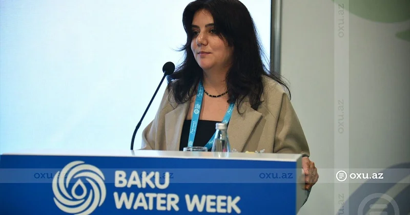 Kəminə Ağayeva: Xəzərin şimalında 93 min kvadrat kilometr yeni quru ərazi yarana bilər