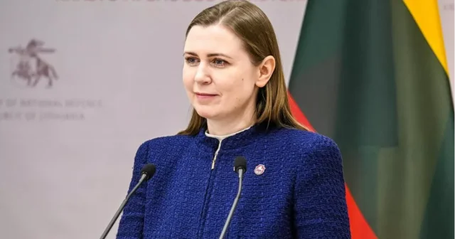 Polşa üzərində peyda olan pilotsuz təyyarələr itib...