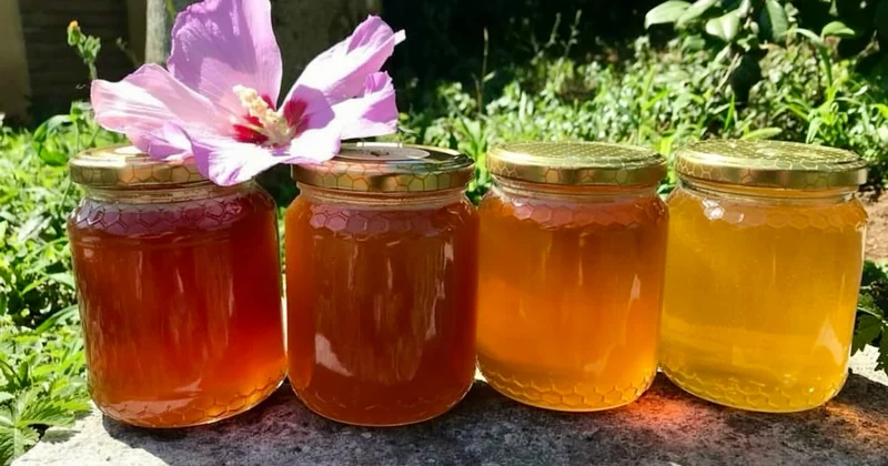 Balın faydası ilə yanaşı, bu zərərləri var