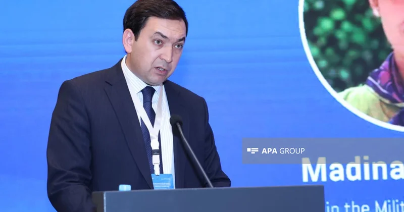 Özbək ekspert AQEM ölkələrini bütün sahələrdə daha yaxından əməkdaşlığa çağırıb