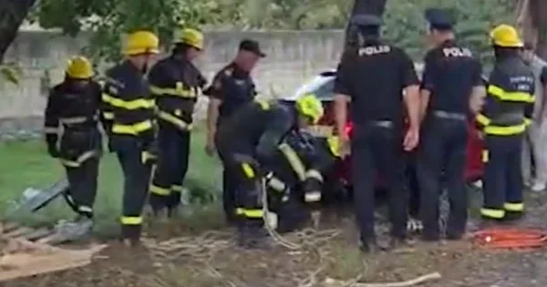 Qaxda BMW ağaca çırpıldı