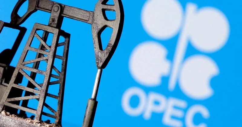 OPEC Azərbaycanda gündəlik neft hasilatı üzrə göstəriciləri açıqlayıb