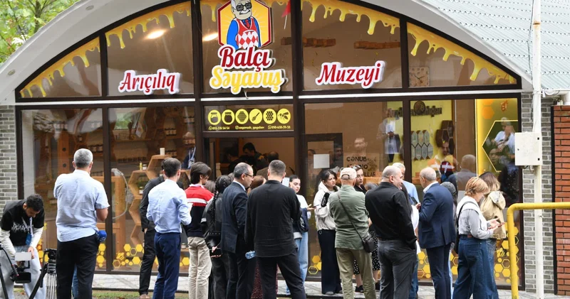 Arıçılıqda yeni dövr: pətəklərə SMS lə nəzarət edilir