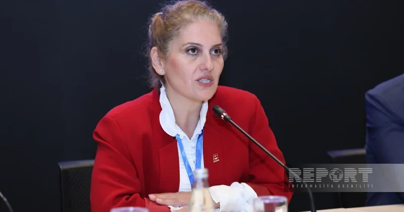 Назлы Йенал: Турция планирует диалог высокого уровня по метану на основе инициатив COP29