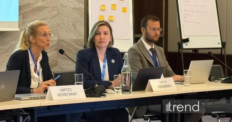 Определена дата представления итогов Повестки дня действий COP31