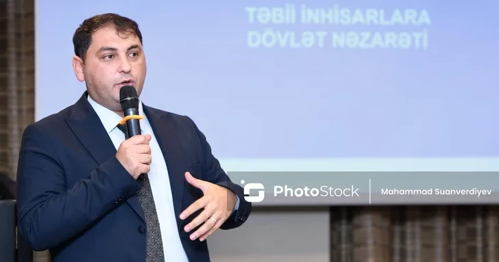 Шамси Рзалы рассказал о государственном контроле за субъектами естественных монополий
