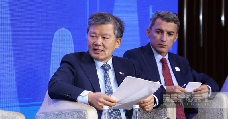 Посол Кореи: KOICA в 2026 году приступит к восстановлению кяризов в Карабахе
