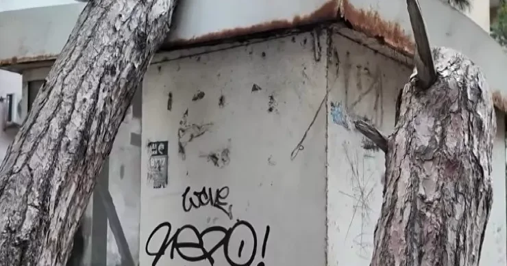 Bakıda sakinlərin həyatını “cəhənnəmə” çevirən nədir? VİDEO