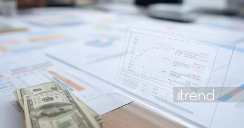 Объем иностранных инвестиций в иранскую провинцию Фарс возрастет