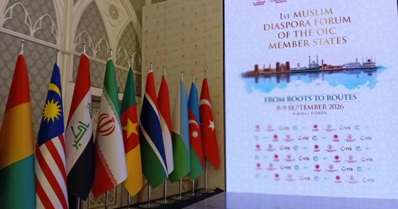 Diasporumuz beynəlxalq arenada...