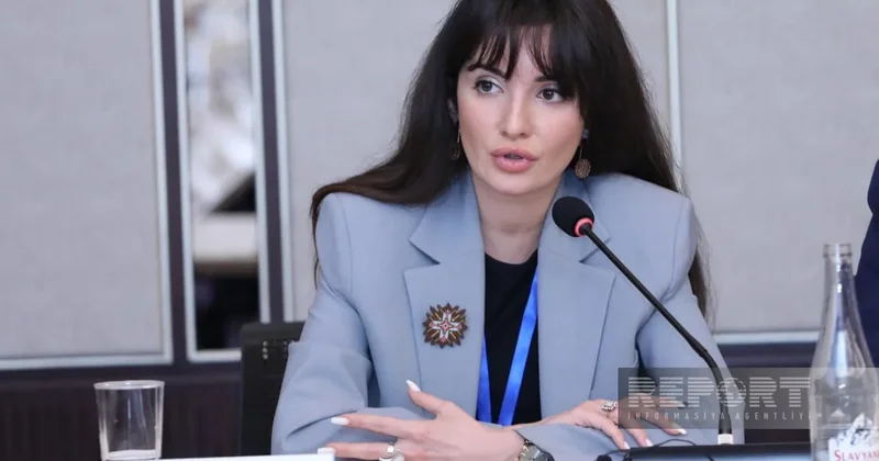 Названа причина неполных ограничений на въезд автомобилей в Ичеришехер