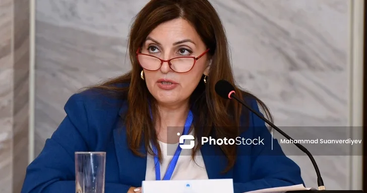 Сабина Гаджиева: Изменение окружающей среды и конфликты влияют на сохранность памятников