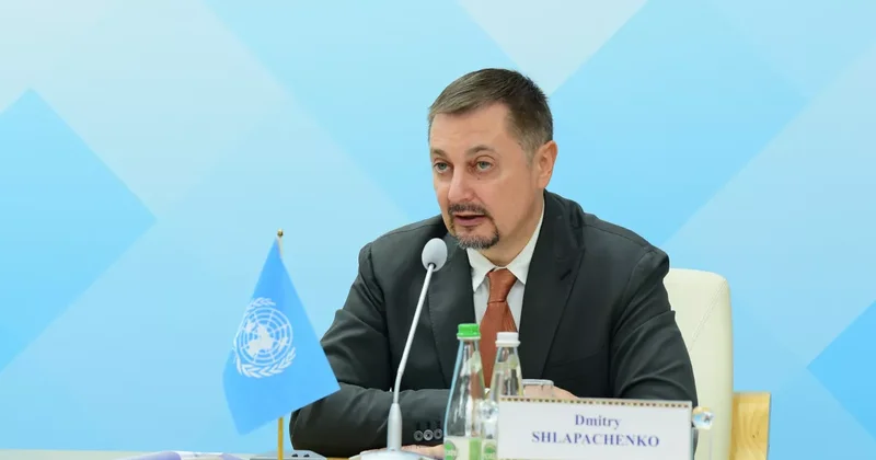 ООН: Азербайджан занимает лидирующую роль в вопросах изменения климата