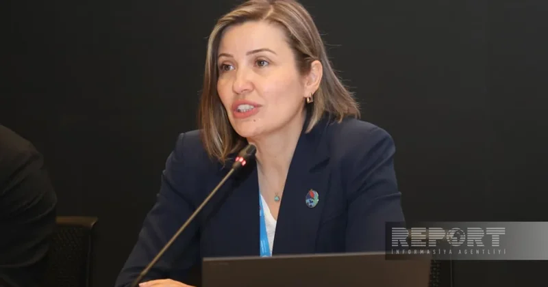 Председательство COP31 предлагает снизить энергоинтенсивность зданий на 20% к 2035 году