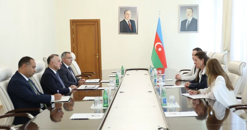 Səhiyyə naziri UNOPS un Avstriya Çoxölkəli Ofisinin direktoru ilə görüşdü