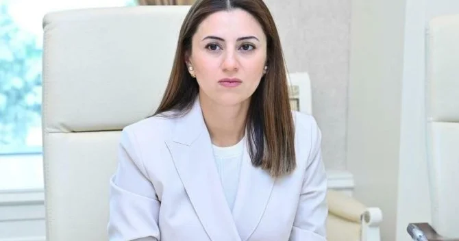 Humanitar yanaşma seçici ola bilməz: BQXK üçün cavabsız qalan suallar