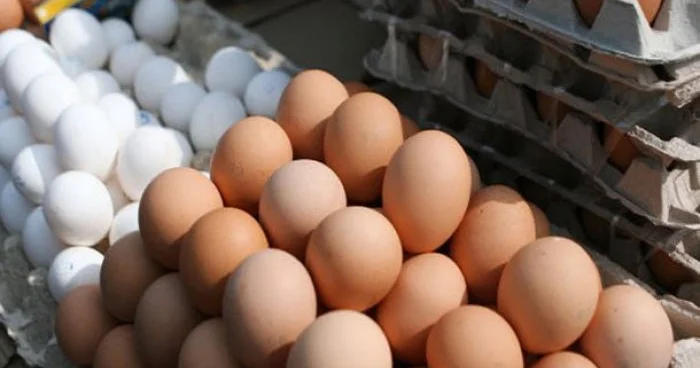 Yumurtanın qiymətinin ən yüksək olduğu ölkələrin adı açıqlanıb