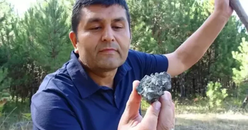 Türkiyədə maraqlı hadisə: Meşəyə göbələk yığmağa getmişdi, inanılmaz tapıntıya imza atdı