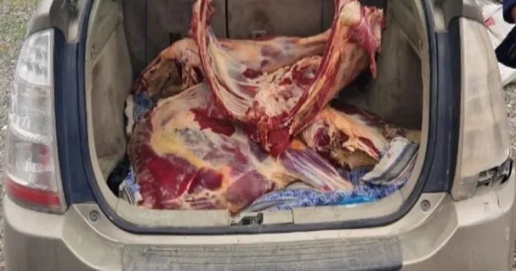 Prius la 92 kilo yararsız ət daşıyırdı: Ağdam postunda ƏLƏ KEÇDİ