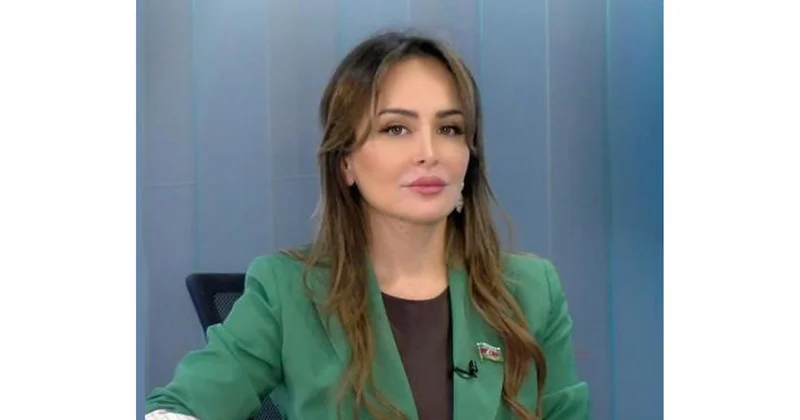 Deputat: “Dövlət xidmətləri haqqında” qanun şəffaf xidmətlərin göstərilməsini təmin edəcək