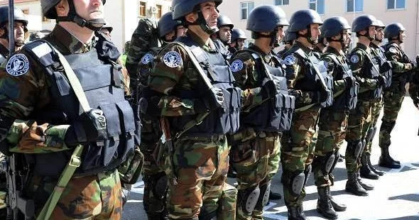 DAXİLİ QOŞUNLARA YENİ SƏLAHİYYƏTLƏR VERİLDİ Bu şəxsləri saxlaya biləcək