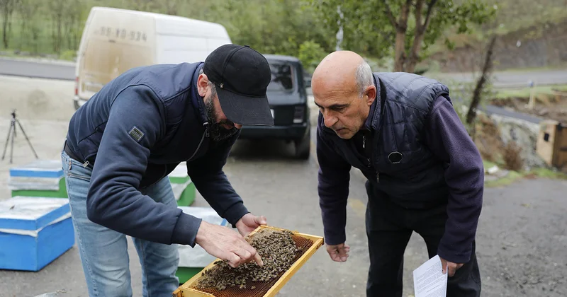 Bu ərazilərdə daha 20 ailə üçün kiçik bizneslər yaradıldı Fotolar