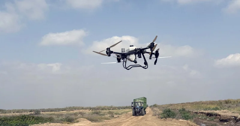 Biləsuvarda ilk dəfə olaraq pambıq sahələrinin becərilməsində dronlardan istifadəyə başlanılıb FOTO