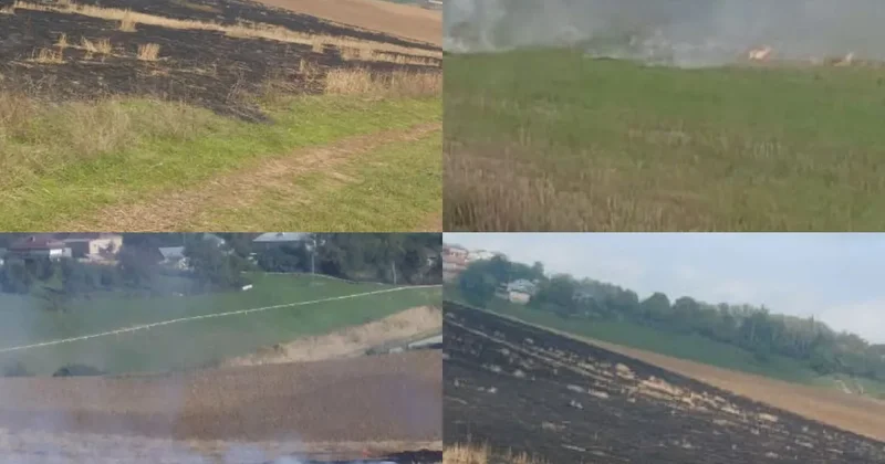 В Азербайджане поймали поджигателей ФОТО