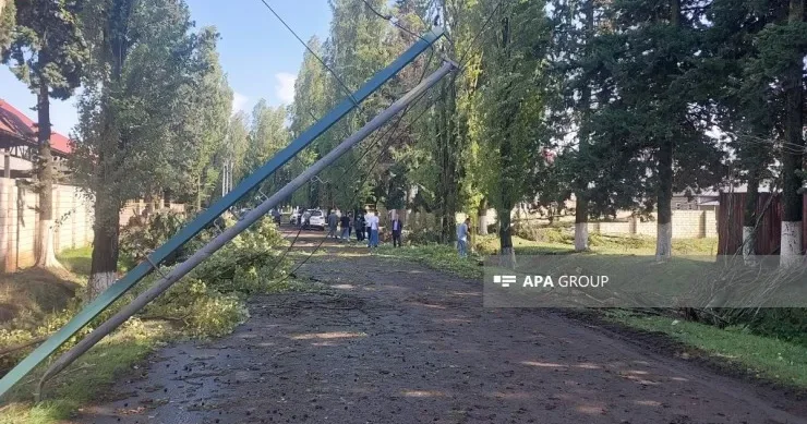 Lənkəranda güclü küləyin fəsadları: kənd işıqsız qaldı FOTO