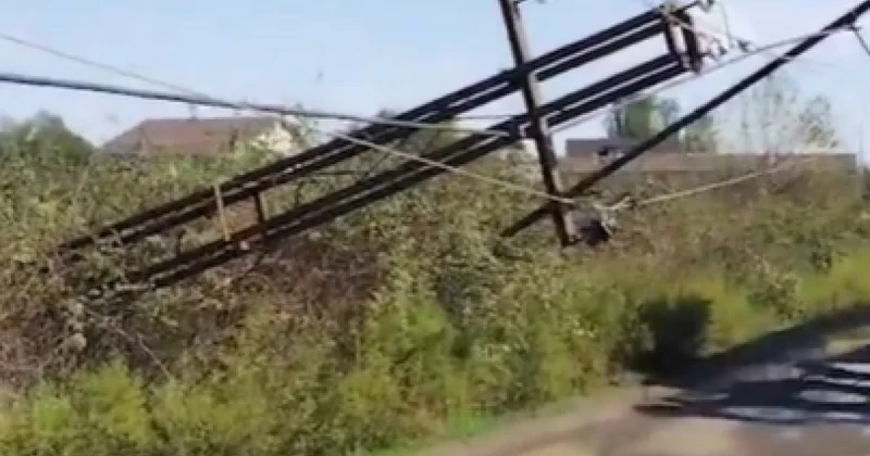Азеришыг в беде не оставит видео