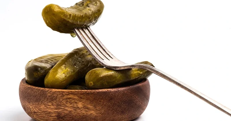 Amerikalı fizik xiyar vasitəsilə işıq əldə etməyin mexanizmini araşdırıb FOTO
