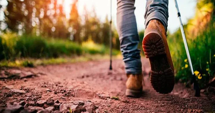 Addımsayar proqramına görə İŞDƏN QOVULDU