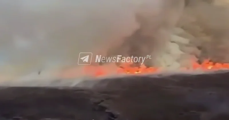 Сильнейший пожар охватил нацпарк в Новой Зеландии ВИДЕО