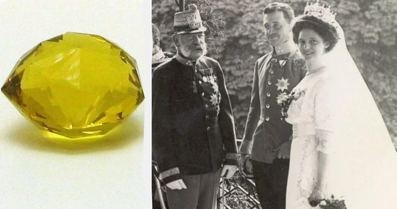 100 ildir itkin düşmüş hesab edilən Florensiyalı Kanadada gizli şəkildə saxlanılıb