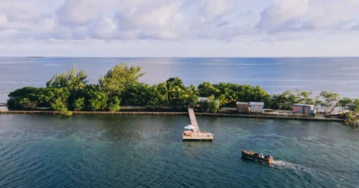 Frensis Ford Koppola adadakı əmlakını satdı...