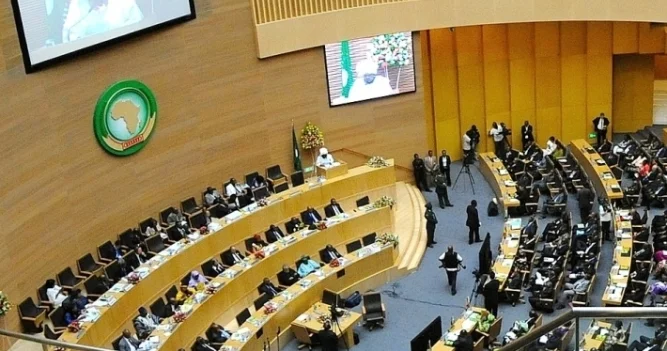 Африканский союз требует немедленного ответа мира на ухудшение обстановки в Мали