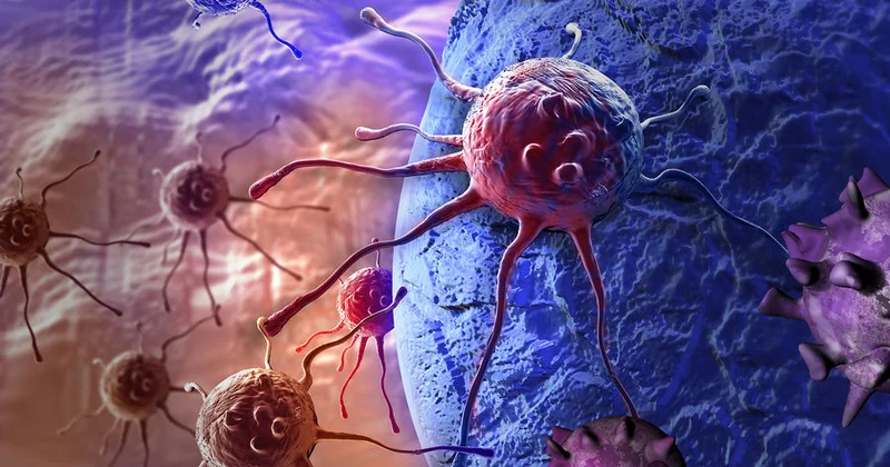 İmmunitet sisteminin xərçəngə qarşı müdafiə qurmasına kömək edən material yaradılıb