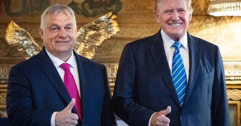 Трамп спас венгров на Рождество